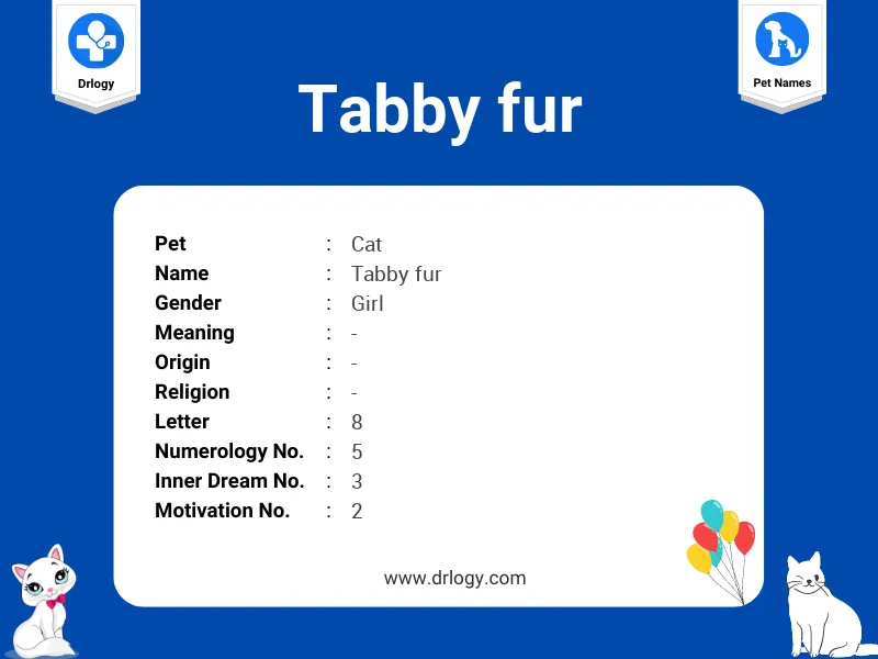 Tabby Fur Name Meaning